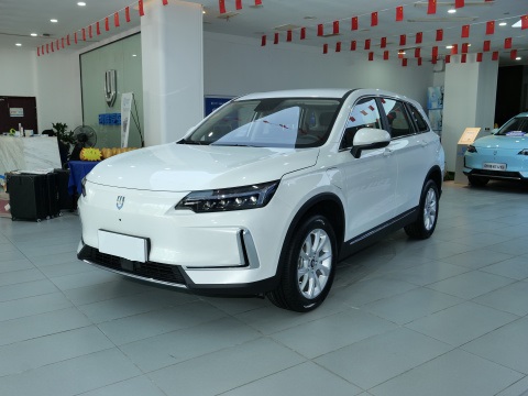 Health smart pure electric SUV